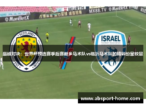 巅峰对决：世界杯预选赛季后赛新乡马术队vs临沂马术队的精彩纷呈较量