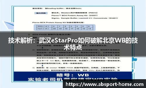 技术解析：武汉eStarPro如何破解北京WB的技术特点